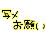 845452034