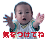 845452494