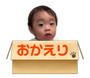 845452495