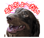 845453074