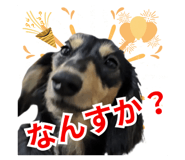 845453086
