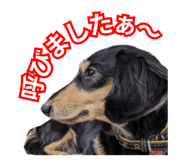 845453088