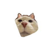 845453810