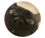 845453811