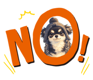845454218