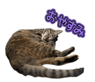 845454578
