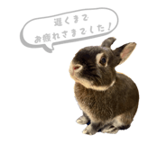 845454930