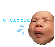 845454988