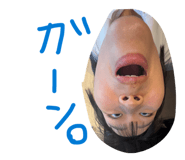 845455557