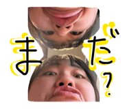 845455560