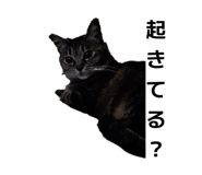 845463154