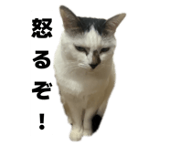 845463156