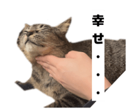 845463158