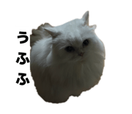 845463160