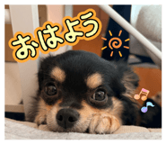 845463373