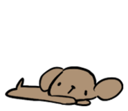 845463777