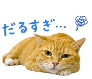 845463798