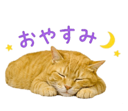 845463801