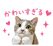 845463806