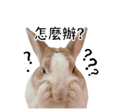845465545