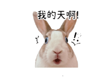 845465550