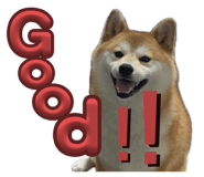 845465553
