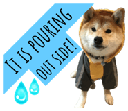 845465556