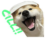 845465558