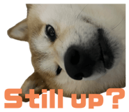 845465559