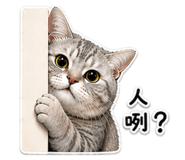 845465597