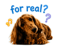 845466344