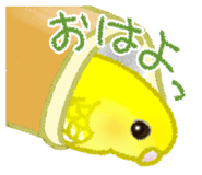 845466505