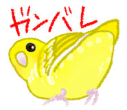 845466517