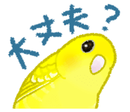 845466521