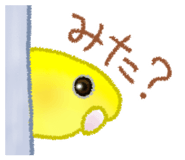 845466526
