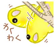 845466527