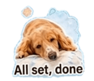 845466546
