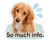 845466549