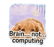 845466556