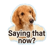 845466562