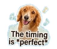 845466563
