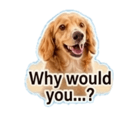 845466565