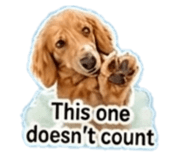 845466569