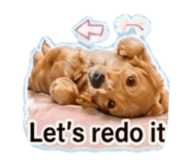 845466570
