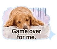 845466575