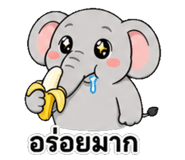845467086