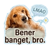 845467178