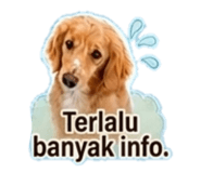 845467189