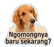 845467202