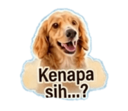 845467205